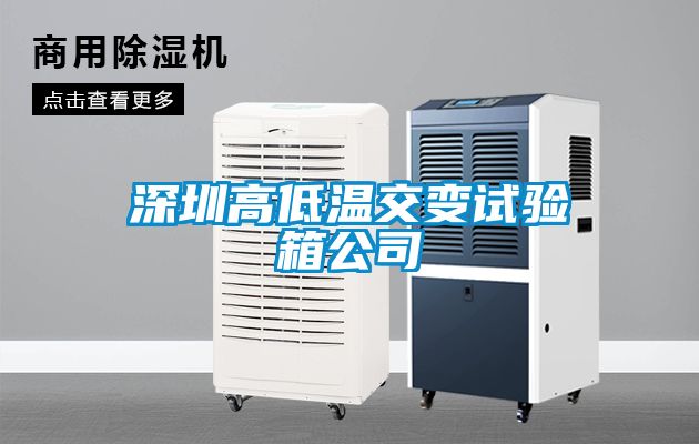深圳高低温交变试验箱公司