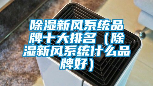 除湿新风系统品牌十大排名（除湿新风系统什么品牌好）