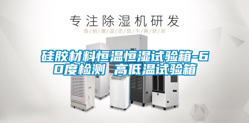 硅胶材料恒温恒湿试验箱-60度检测 高低温试验箱