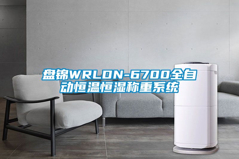 盘锦WRLDN-6700全自动恒温恒湿称重系统
