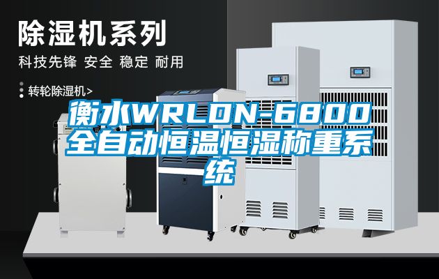 衡水WRLDN-6800全自动恒温恒湿称重系统