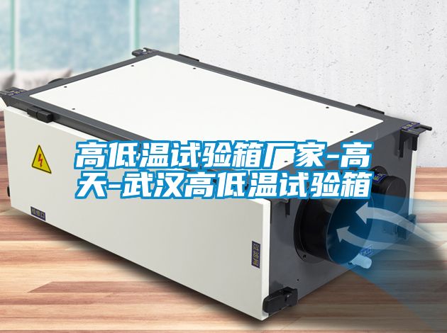 高低温试验箱厂家-高天-武汉高低温试验箱